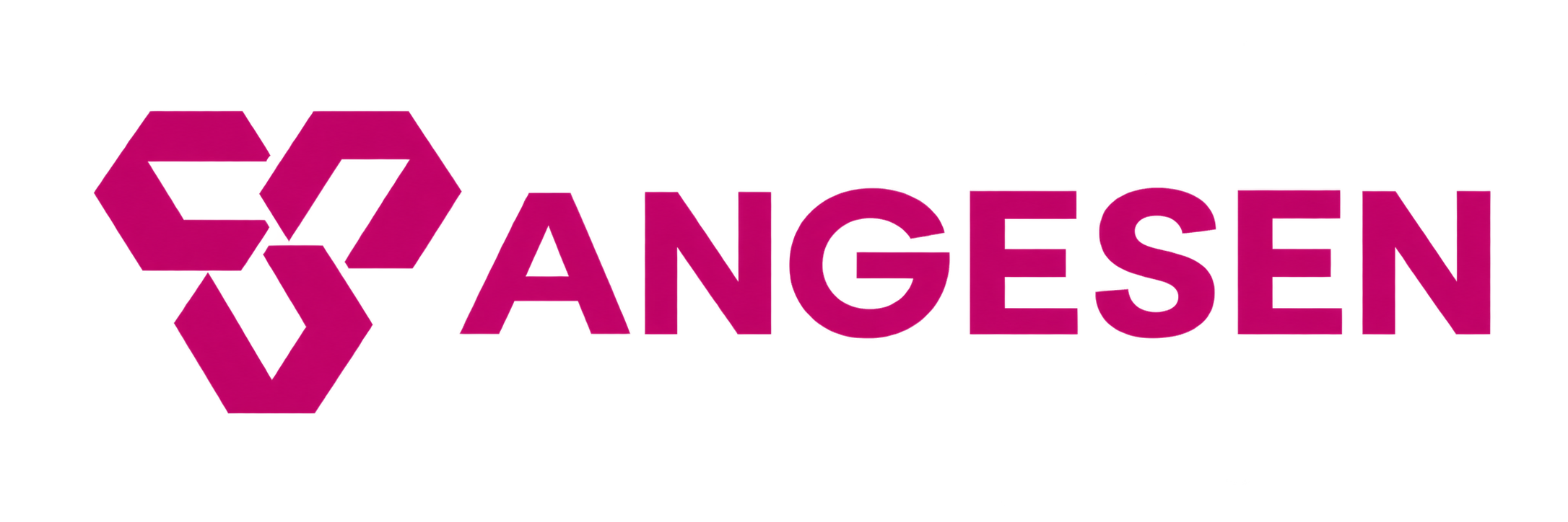 Официальный логотип бренда ANGESEN