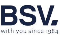 Официальный логотип бренда BSV Electronics