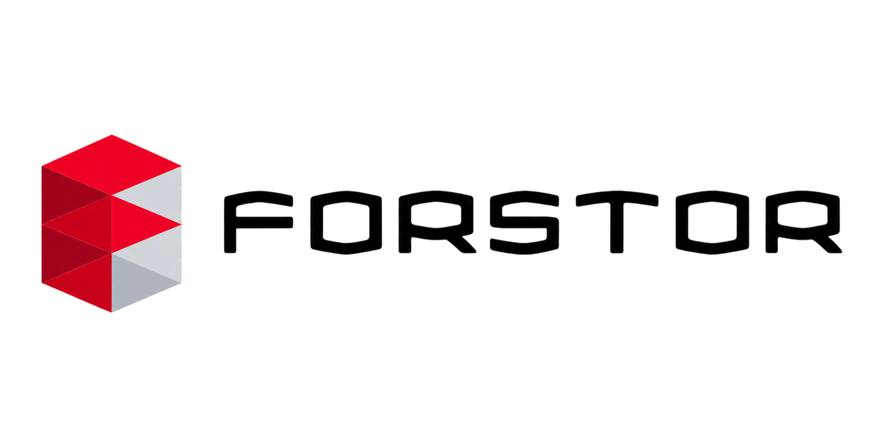 Официальный логотип бренда FORSTOR