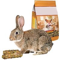 Корм для гризунів