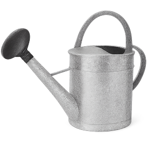 Лійки