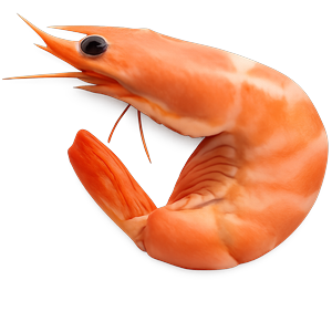 Морепродукти