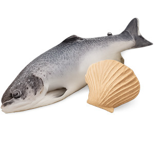 Рыба и морепродукты
