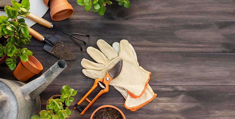 Садовий інвентар фото