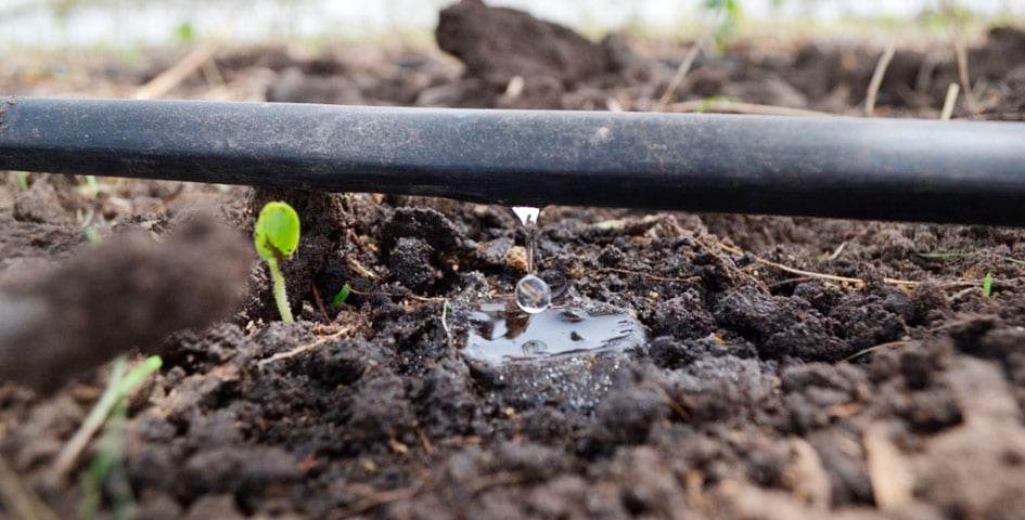 Крапельне зрошування Крапельне зрошування фото