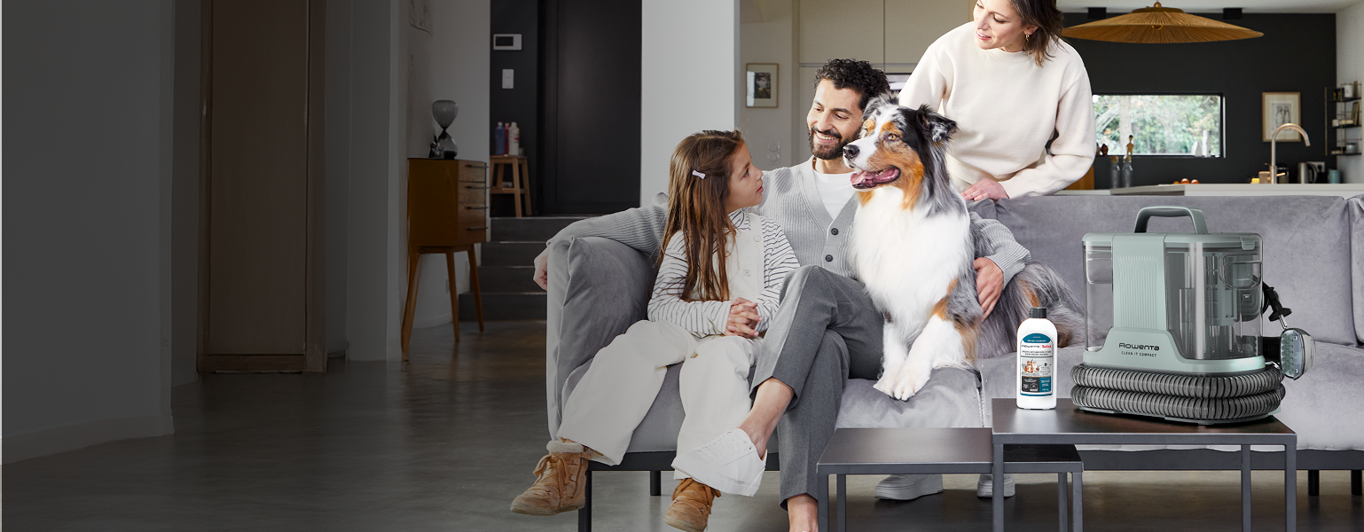 Rowenta Clean It Main