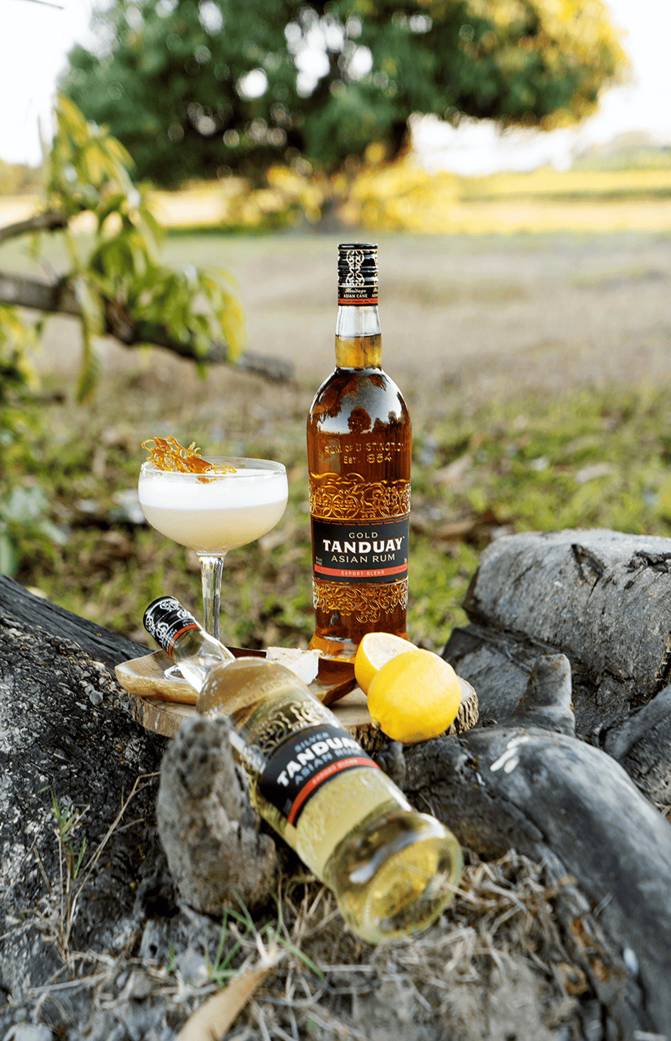 Пляшка рому Tanduay Asian Rum Gold і Tanduay Asian Rum Silver на природі поруч із келихом коктейлю, лимоном і деревом.