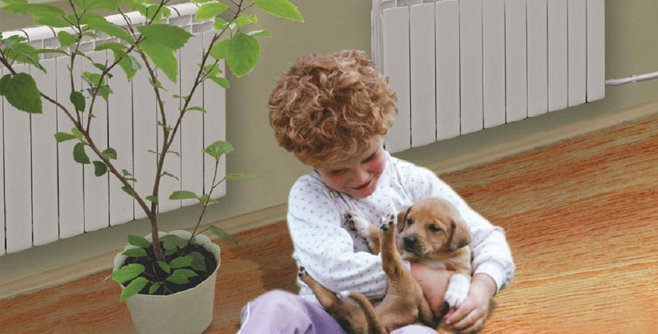 Что же все-таки выбрать? Что же все-таки выбрать?