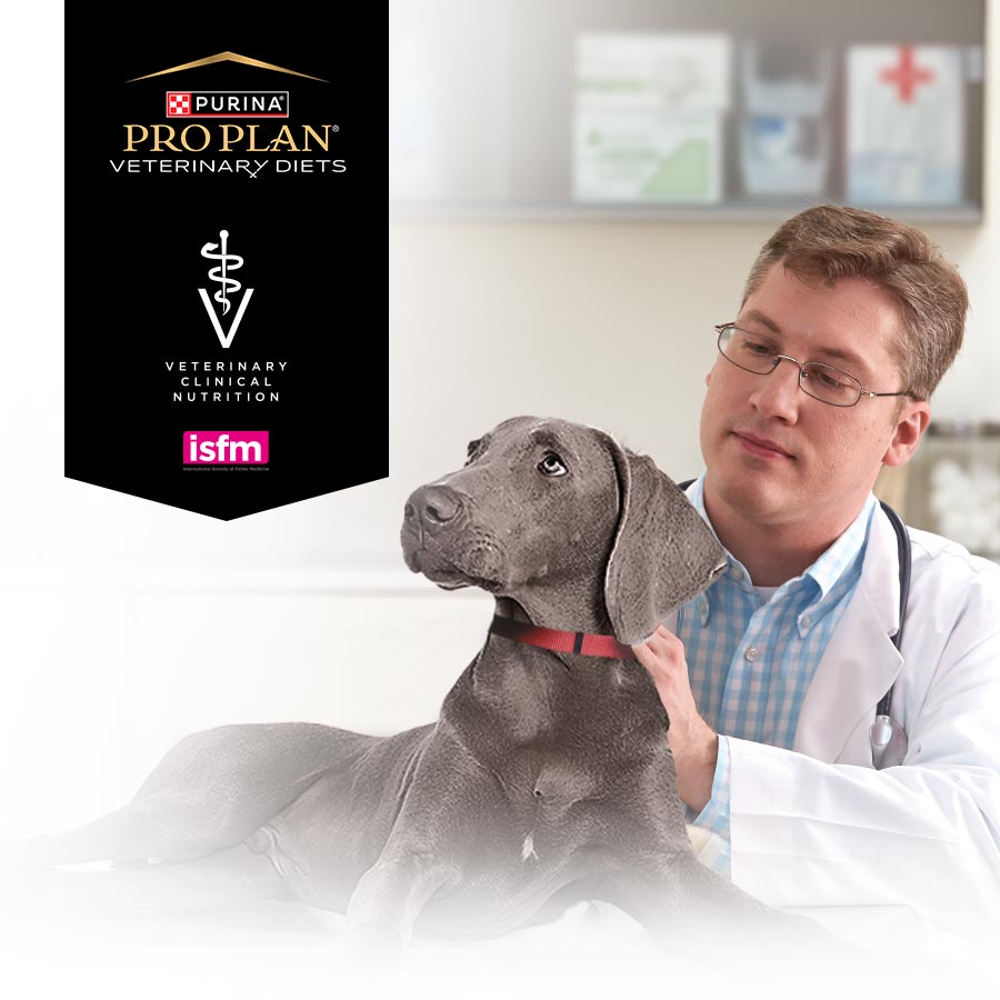 Експертне харчування для собак