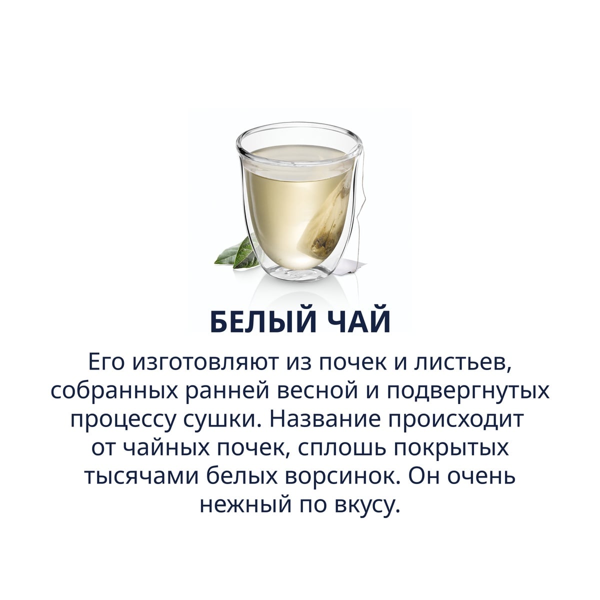 White Tea