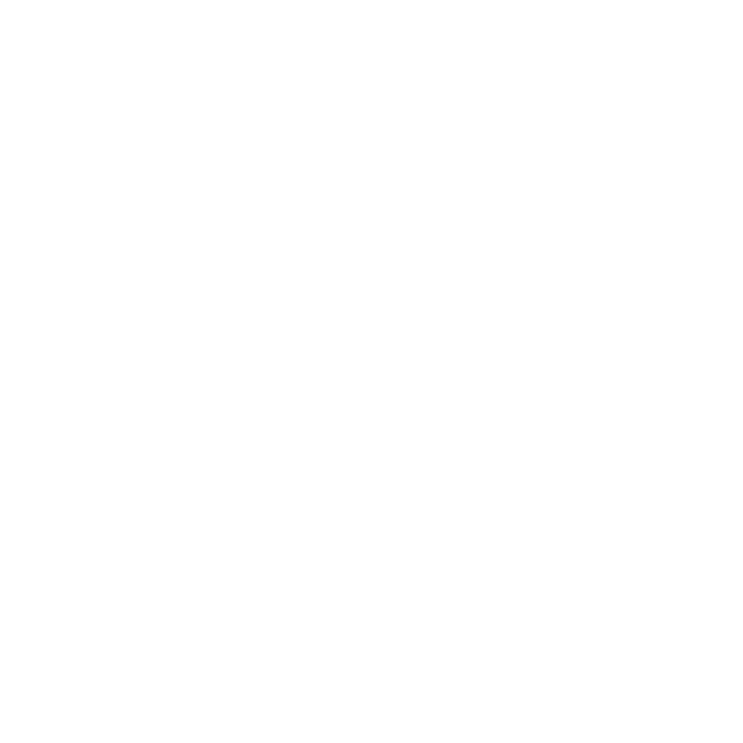Steam+