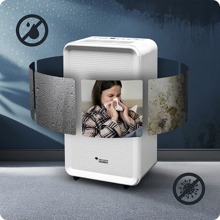 Осушитель в интерьере с демонстрацией работы