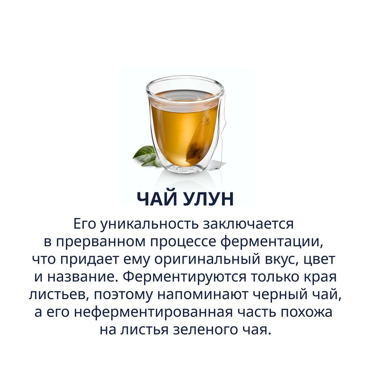 Oolong Tea