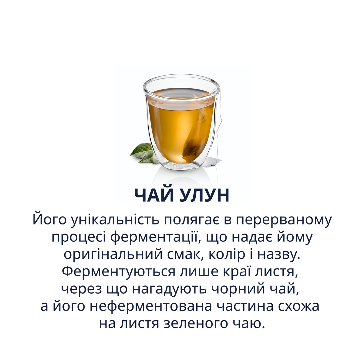 Oolong Tea