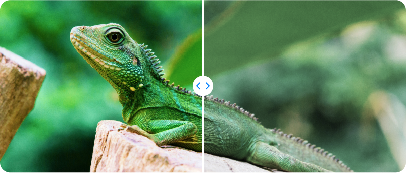 Contrast control image