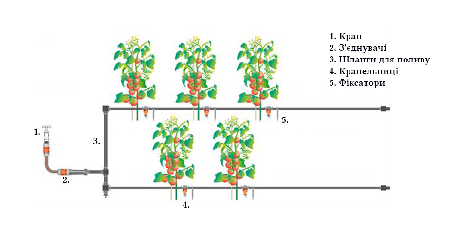 Крапельний полив зі шланга допоможе зрошувати велику кількість овочів, фруктових дерев, ягідних чагарників, квітів та інших рослин, висаджених рядами.