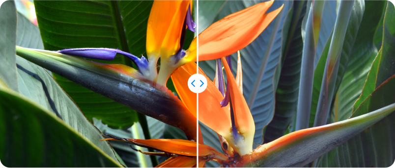 Contrast control image