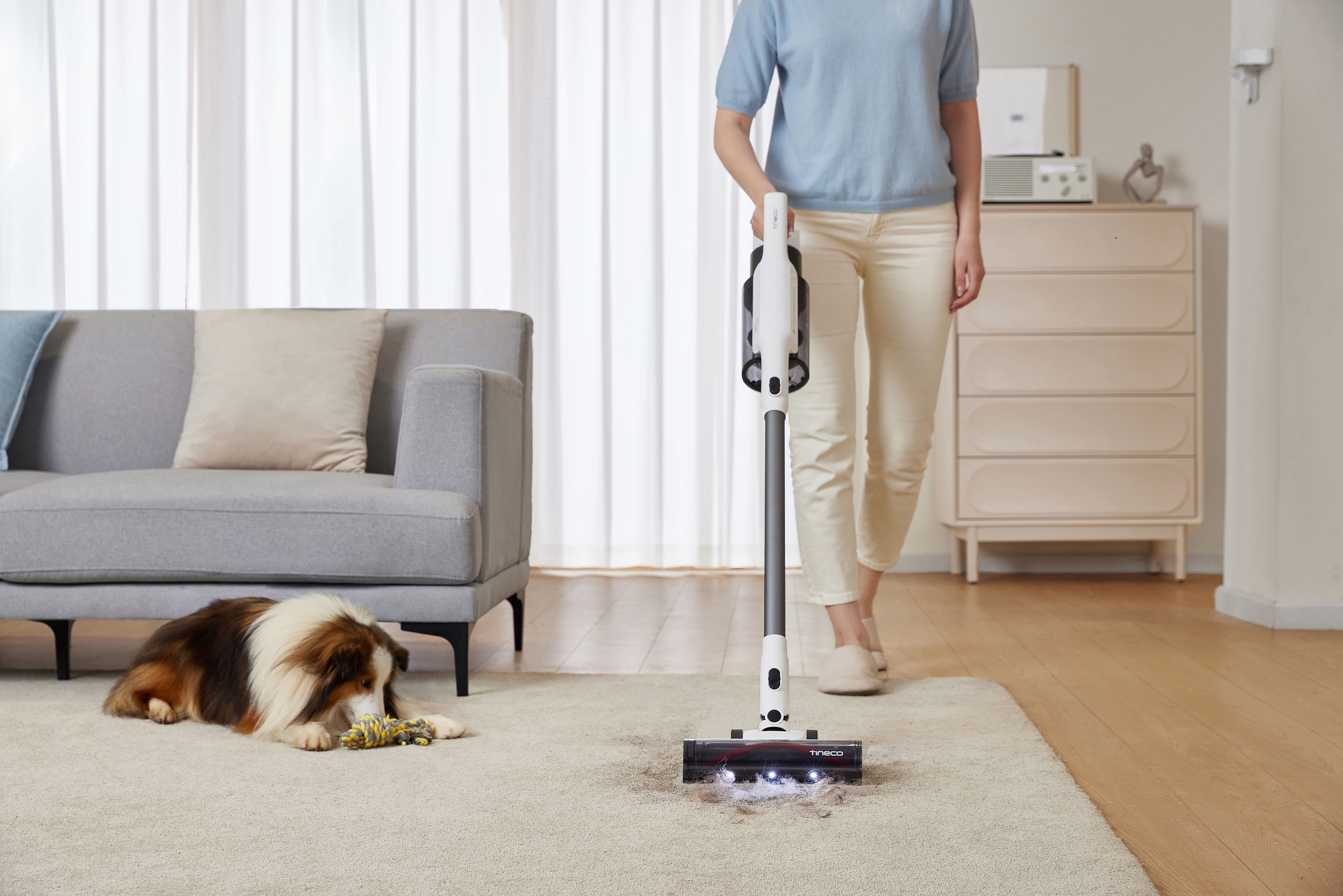 Жінка прибирає шерсть на килимі бездротовим пилососом Tineco поруч із собакою