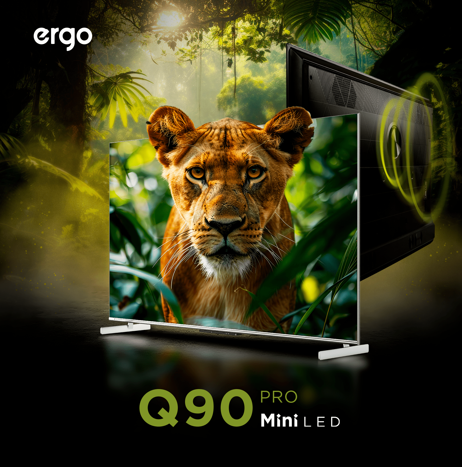 ERGO TV Main
