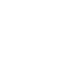 Reversible Door (silver)