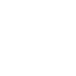 Reversible Door (silver)