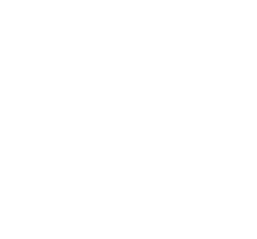 SelfCleaning programme (frame)