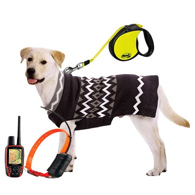 Амуниция и одежда для животных