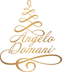 Angelo Domani