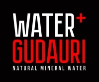 Water+Gudauri